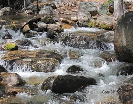 Drew Creek